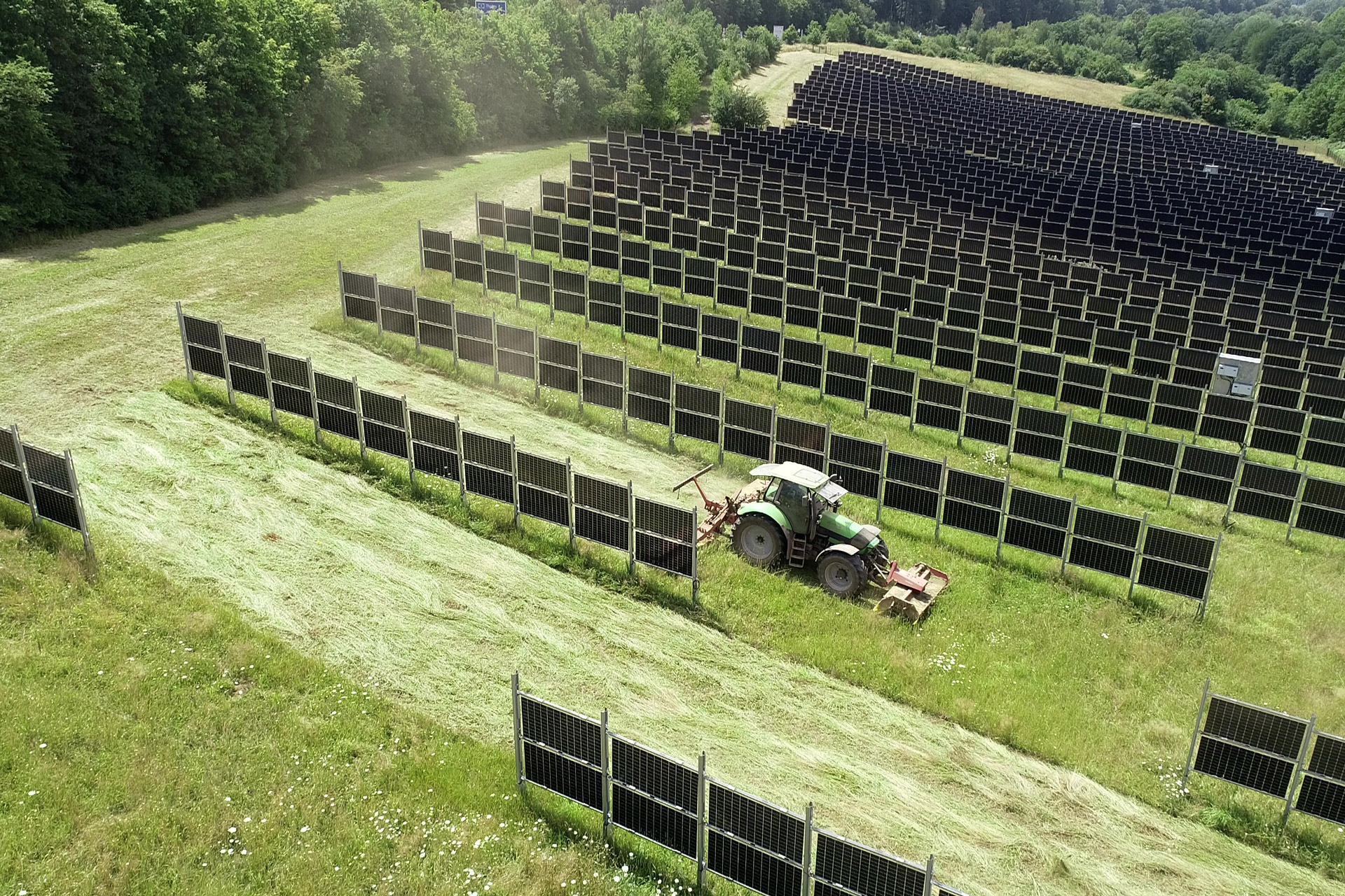 Nordens största solpark i sitt slag